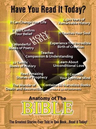 Bible Anatomy