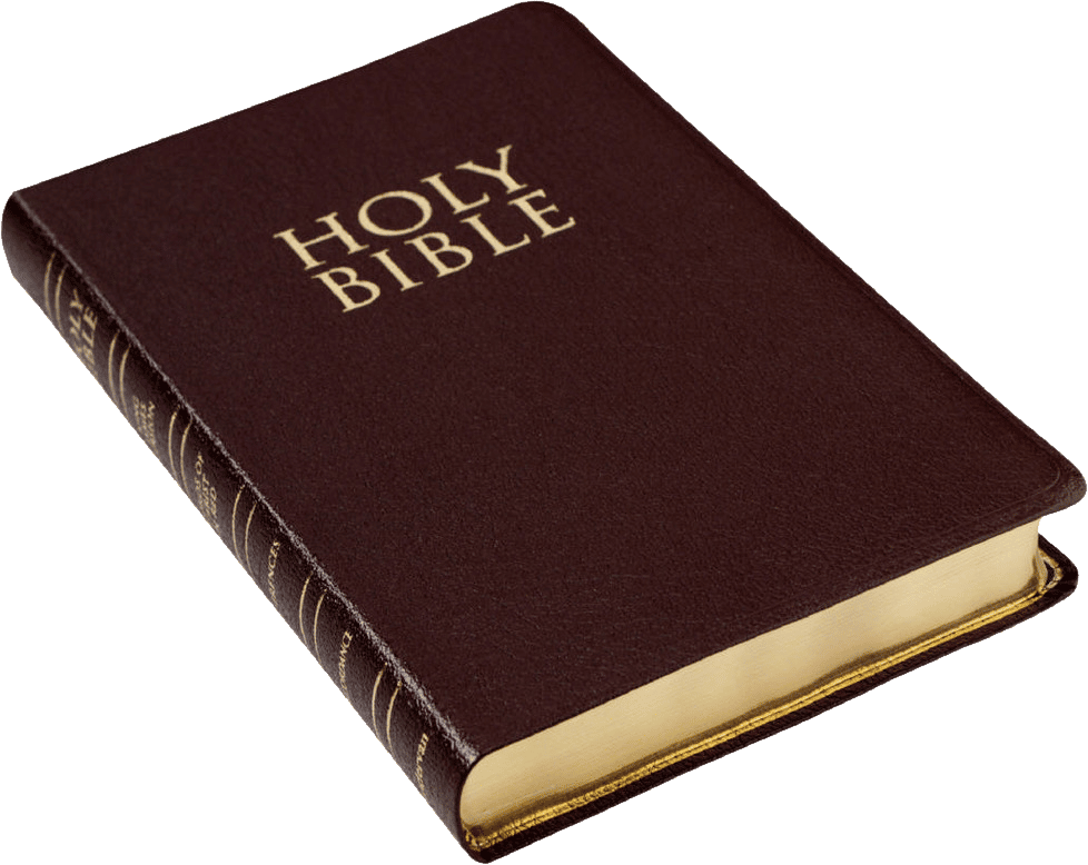 Burgundy Holy Bible