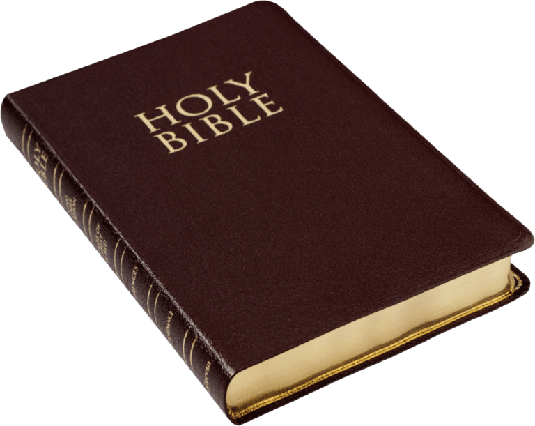 Holy Bible Foreign Language Books