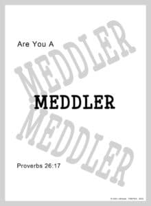 You-A-Meddler