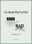 You Harvest