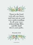 Proverbs 3-3-5