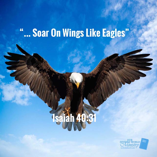 Our Divine Designs 21 Soar On Wings