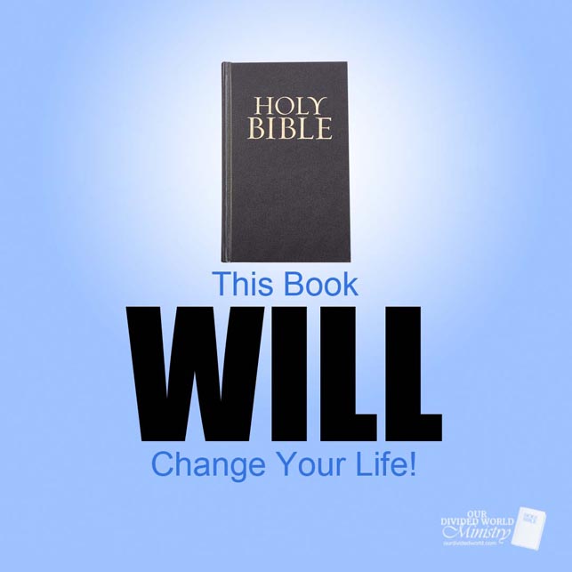 Our Divine Designs 63 This Book Will