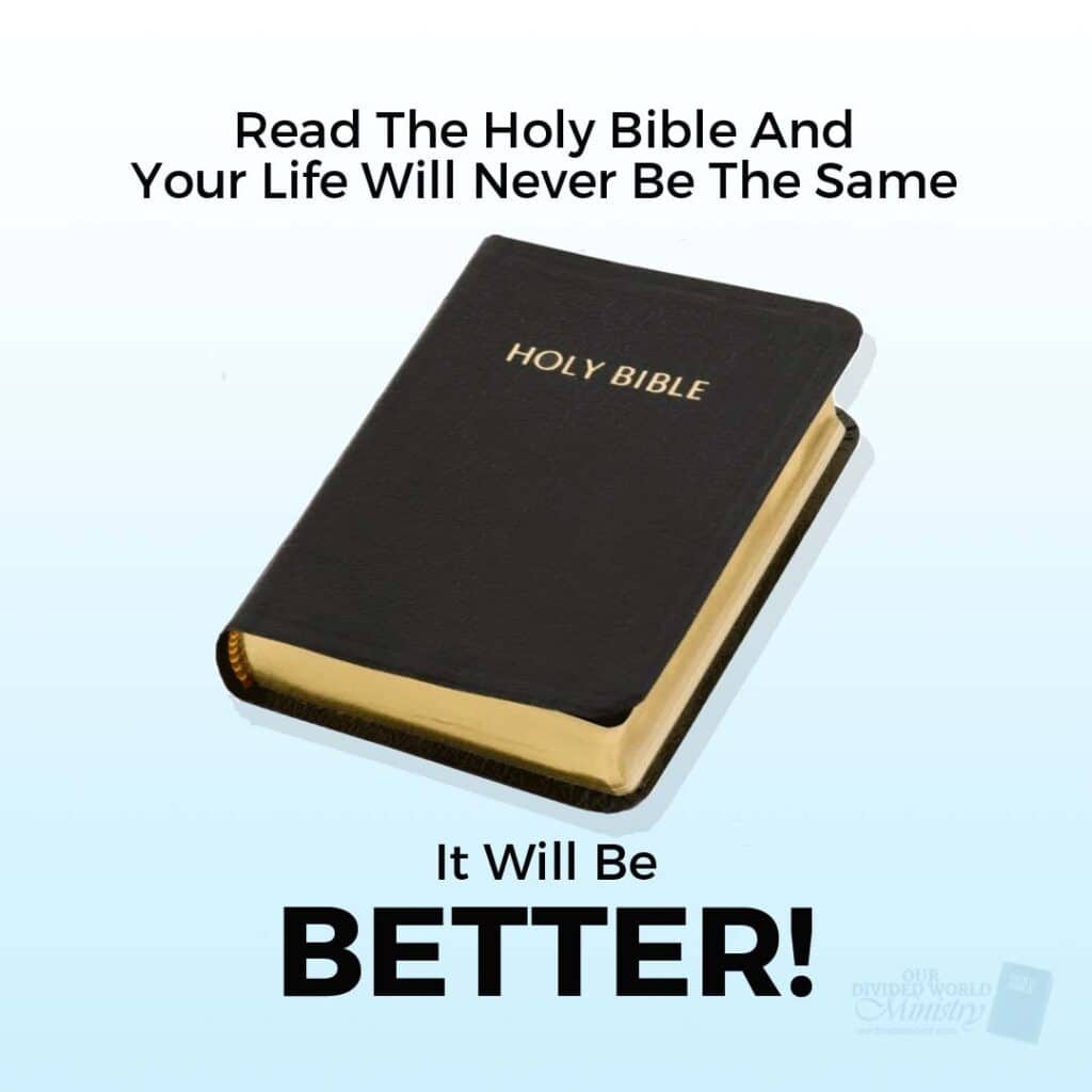 Our Divine Designs 84 Read The Holy