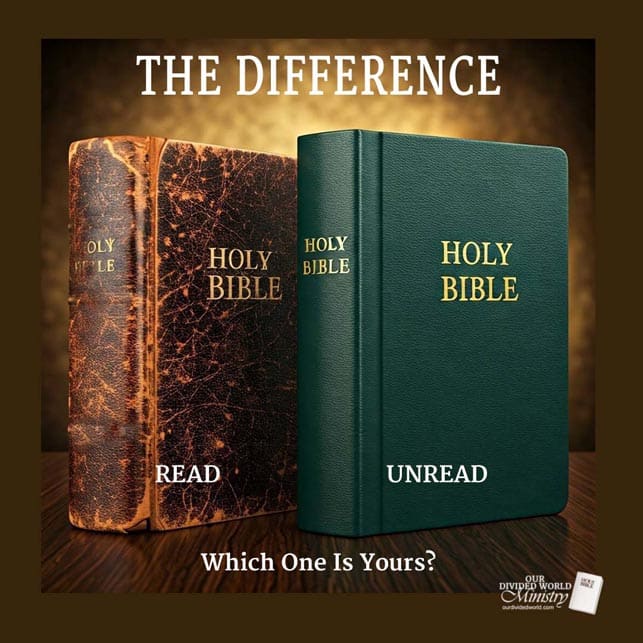 Our Divine Designs 60 The Difference