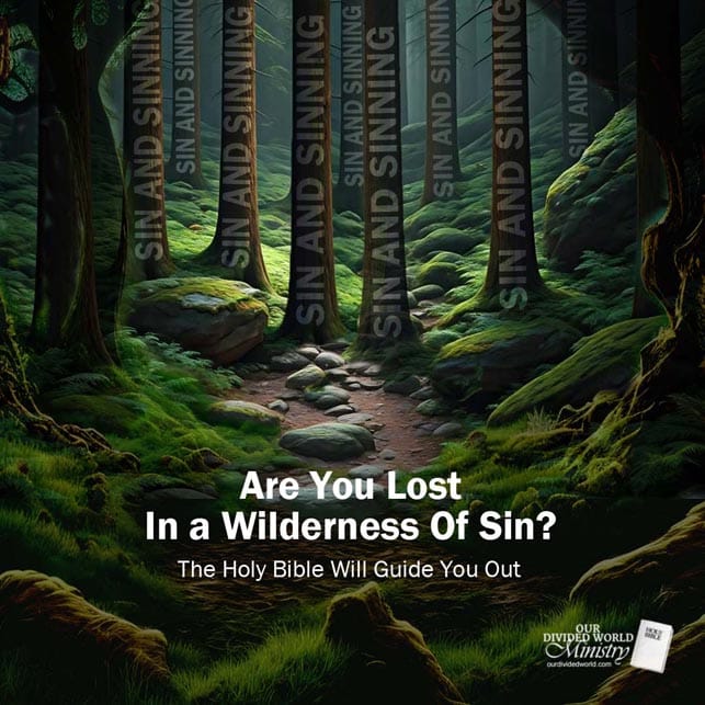Our Divine Designs 109 Lost in a Wilderness