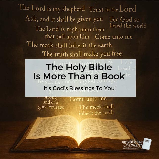 Our Divine Designs 29 More Than A Book