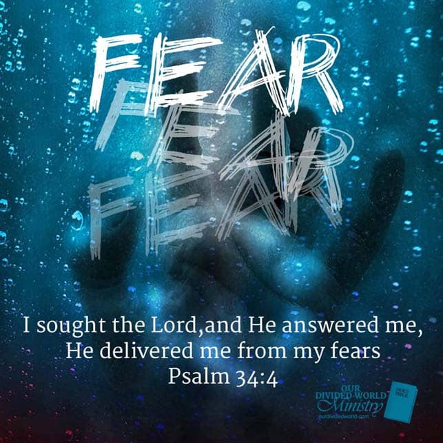 Our Divine Designs 36 Fear Rev