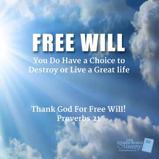 Our Divine Designs 3 Free Will Rev