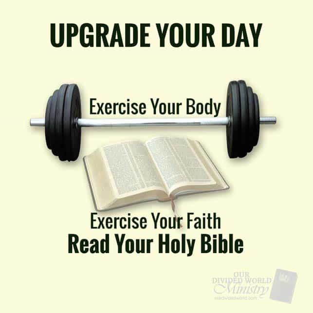 Our Divine Designs 17 Upgrade Your Day Rev